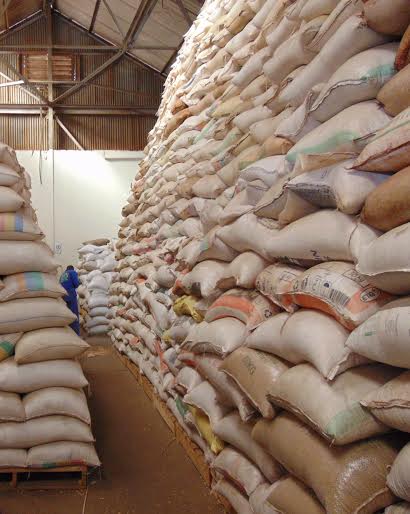 WhatsApp Image 2026-03-15 at 17.38.16